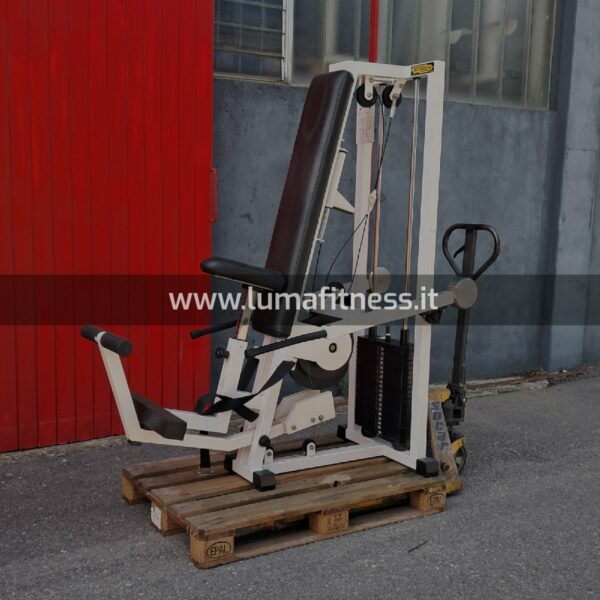 Dip Triceps Press Technogym Lux