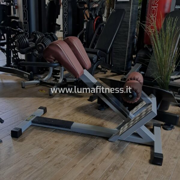 Panca Lombari Technogym Lux Silver