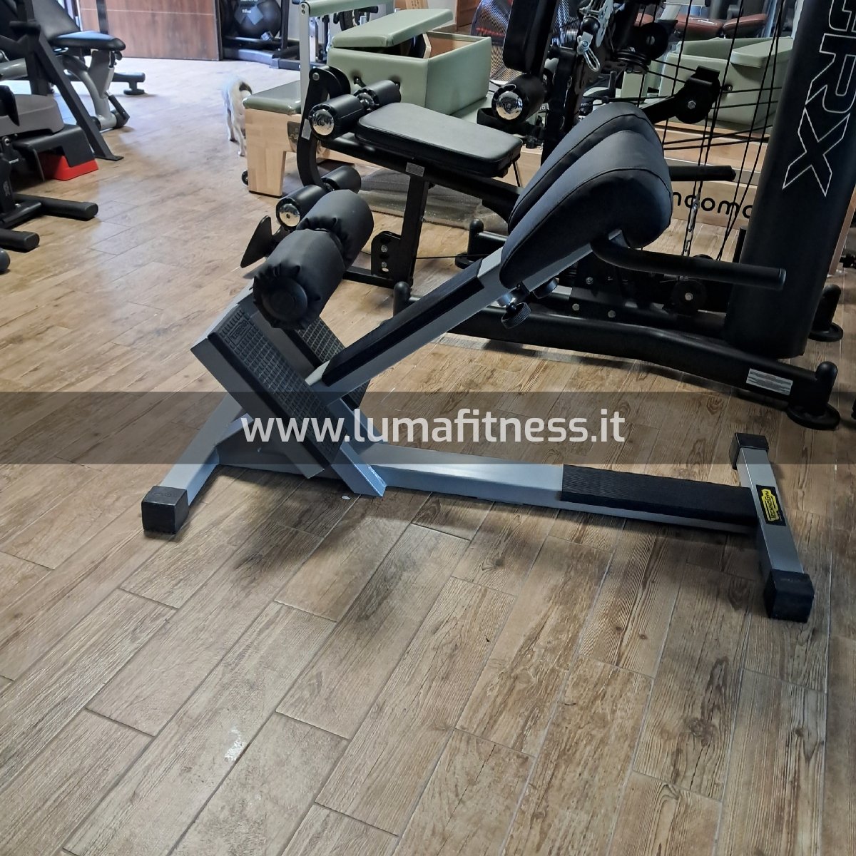 Panca Lombari Technogym Lux Silver - Image 3