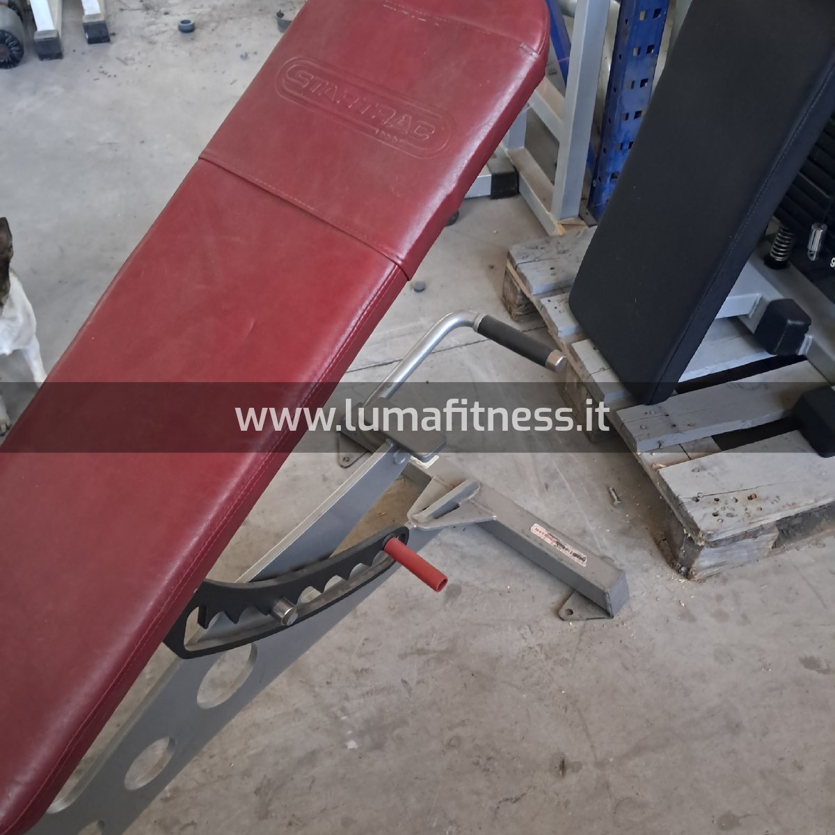 Panca Regolabile Star Trac - immagine 4