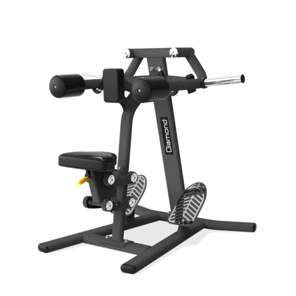 SERIE 300 Lateral Raise DIAMOND PL300-LATERALRAISE NEW!