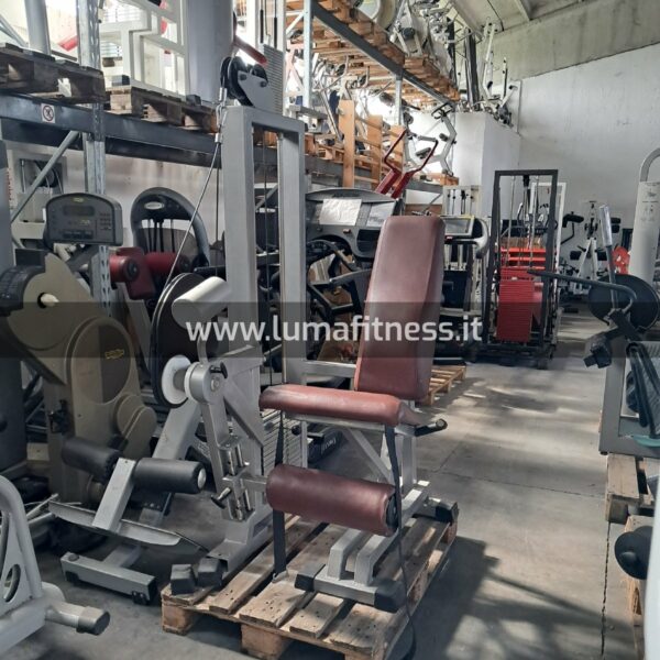 Leg Extension Panatta