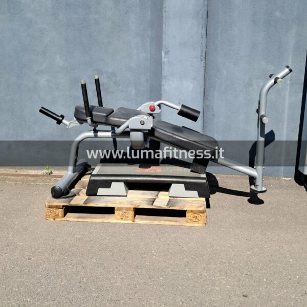 Abdominal Bench Matrix