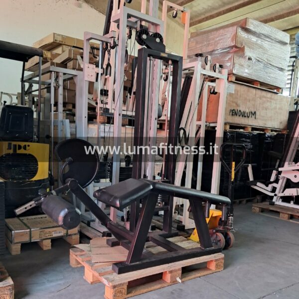 Prone Leg Curl Panatta