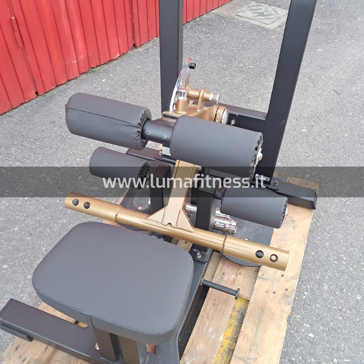 FWX-10400 STANDING HIP THRUST - BUTT SHAPER LINE - Image 4