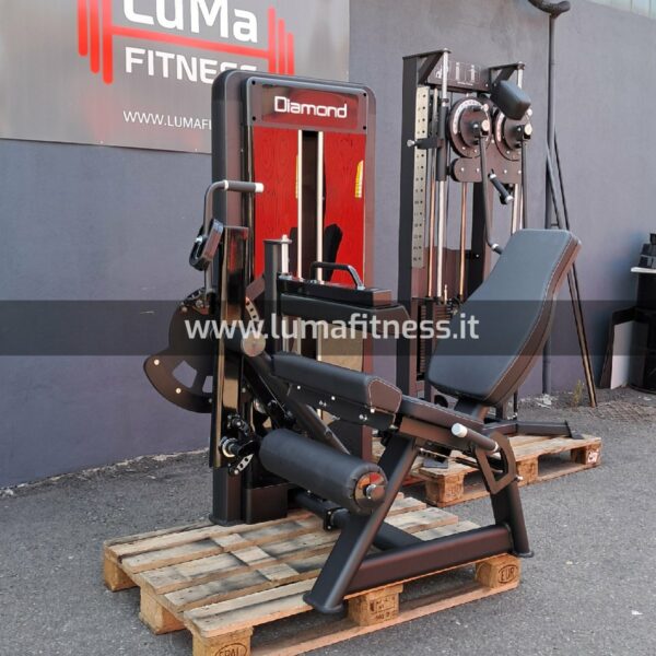 COMBO LEG EXTENSION LEG CURL Diamond Ws550-comboseatedleg