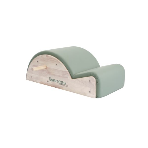 LIFENESS: LINEA PILATES Spine Corrector PTX1700