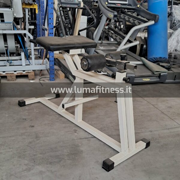 Panca Lombare Usato Technogym