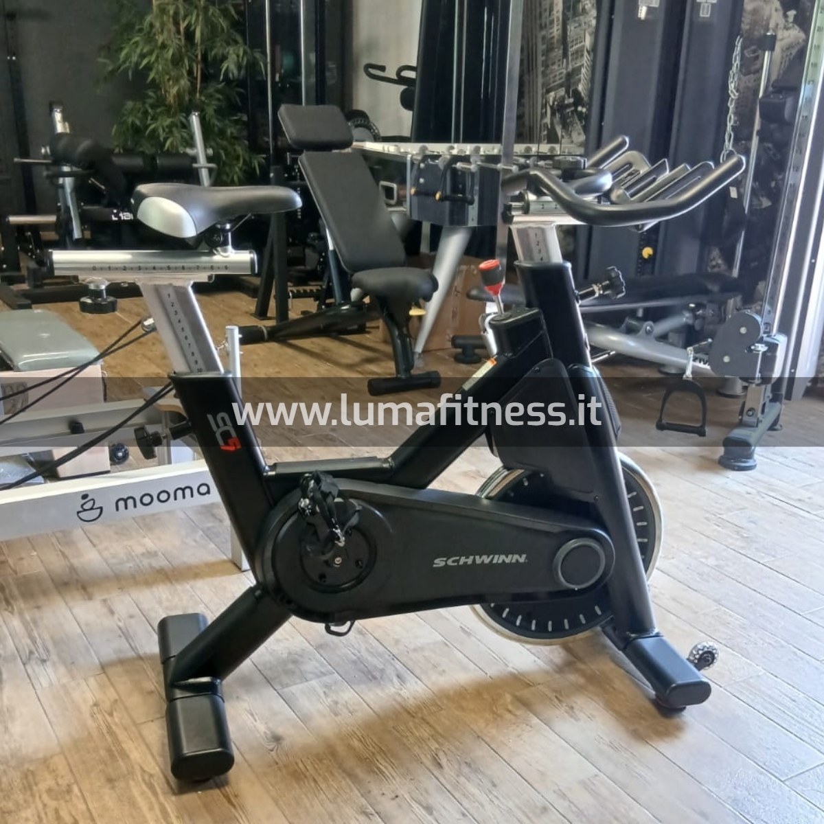 SCHWINN Spin Bike SCHWINN SC5 cod. SC-SC5 - immagine 10