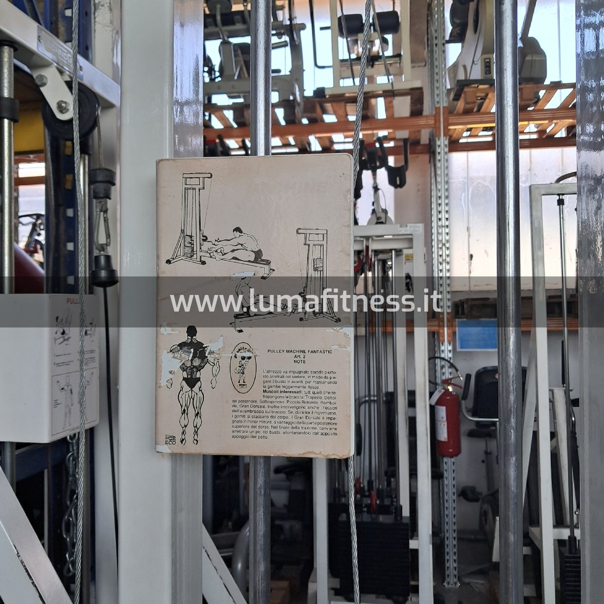 Pulley machine Usato Panatta - Image 2