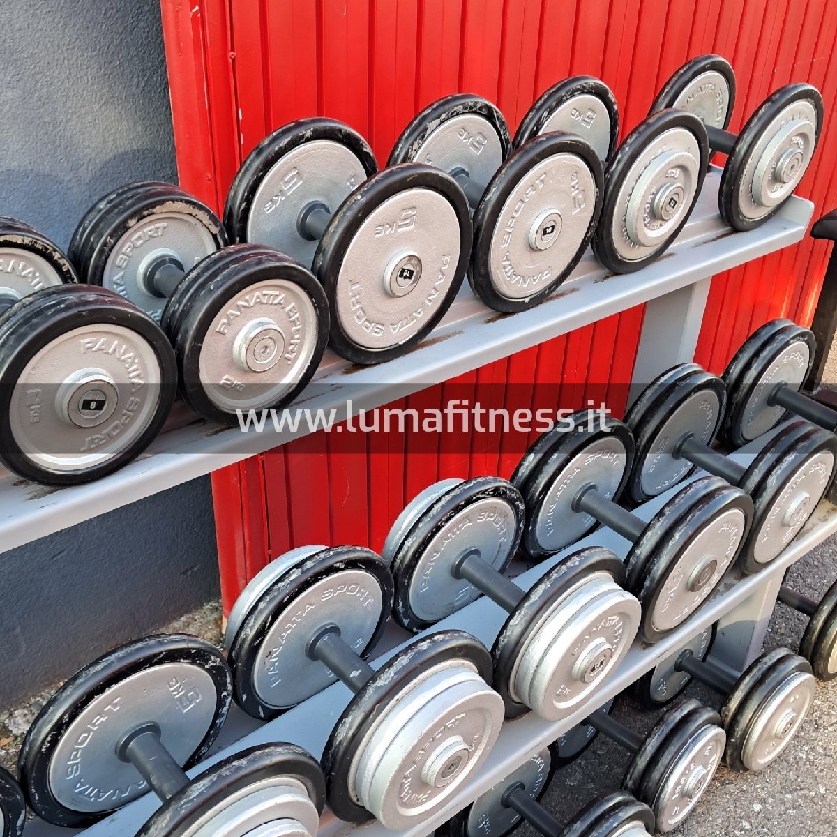 Set Manubri Usati Panatta 4 - 30 kg - Image 2