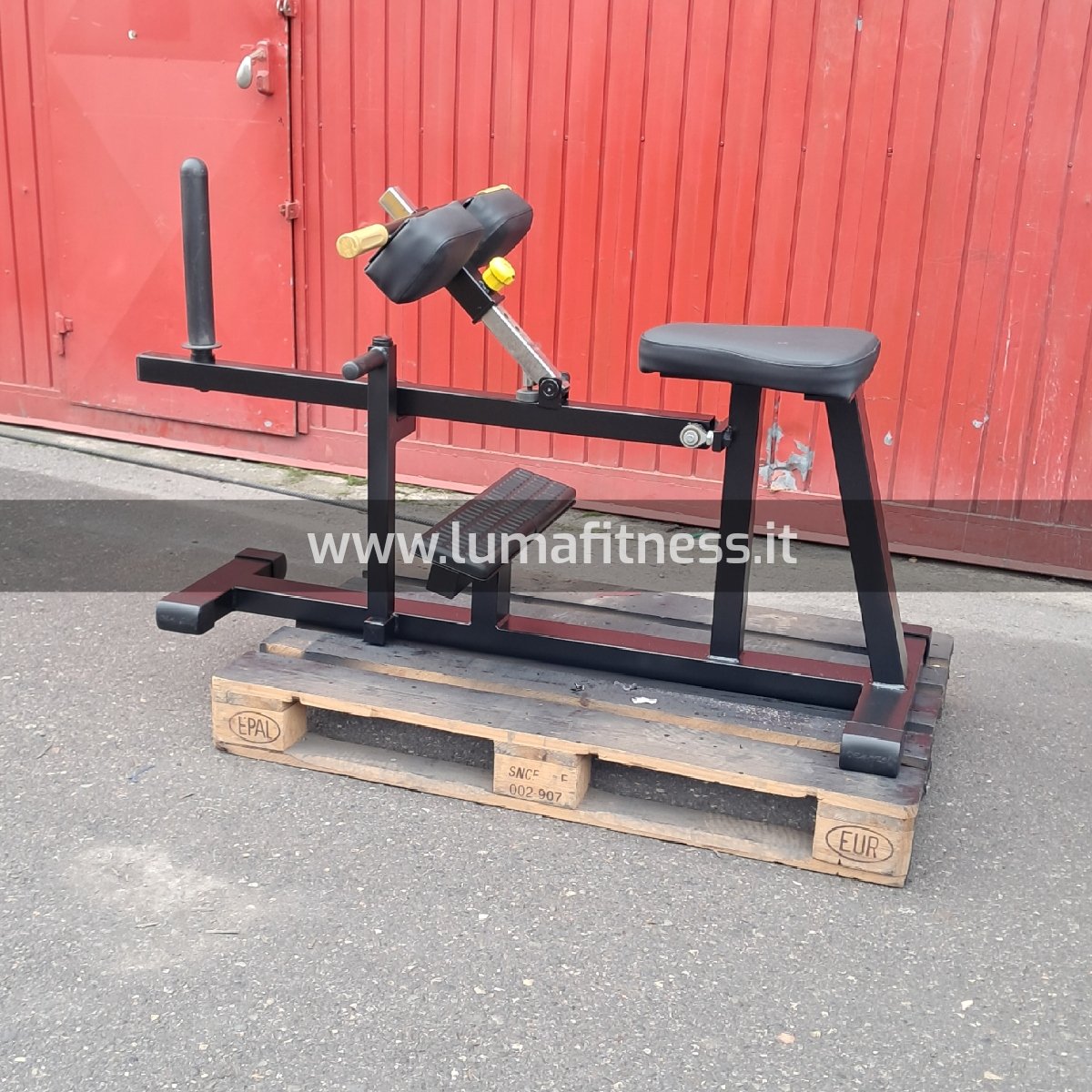 Calf Usato sitting Oemmebi - immagine 4