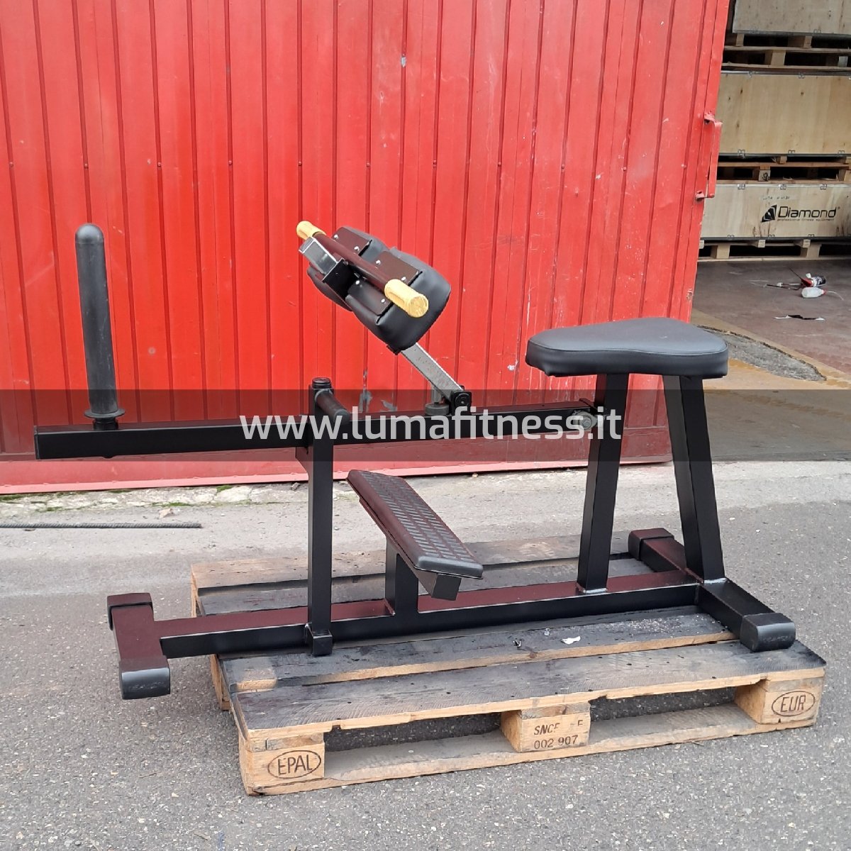 Calf Usato sitting Oemmebi