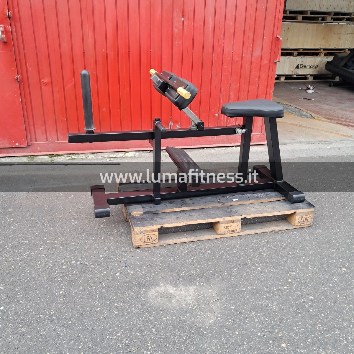 Calf Usato sitting Oemmebi - immagine 2