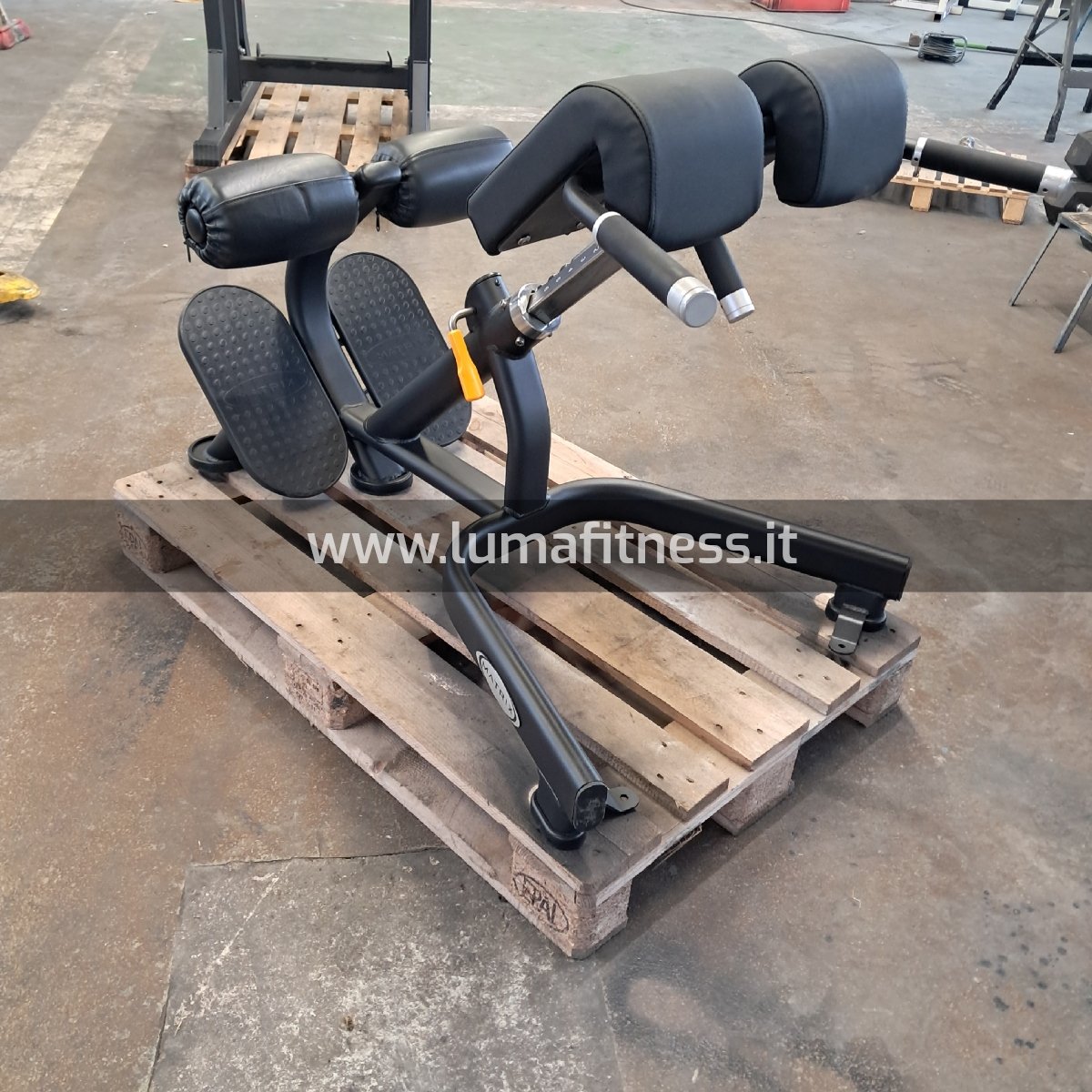 Panca Lombari Hyperextension Back Extension Bench Matrix