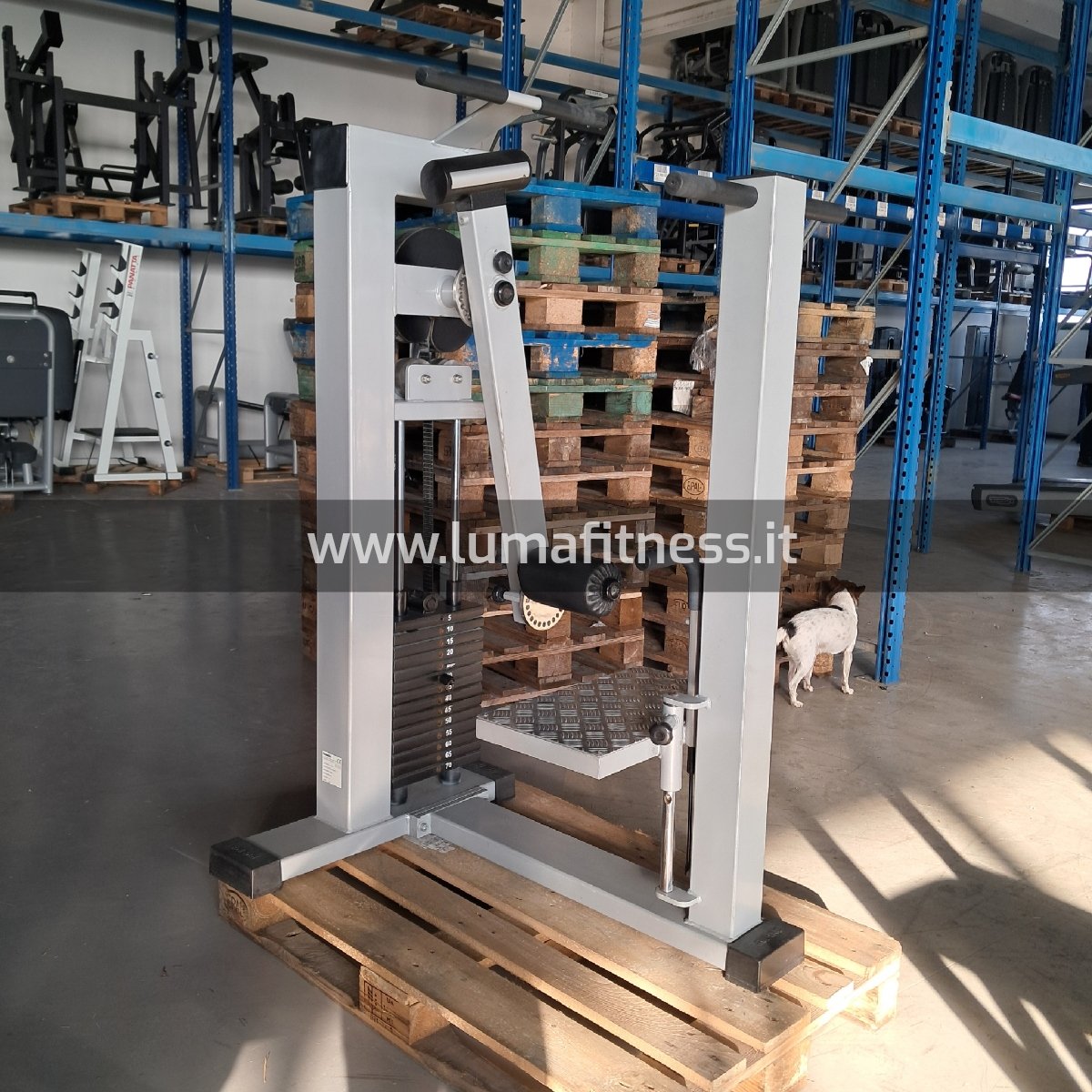 Multi Hip Gerva Sport - immagine 2