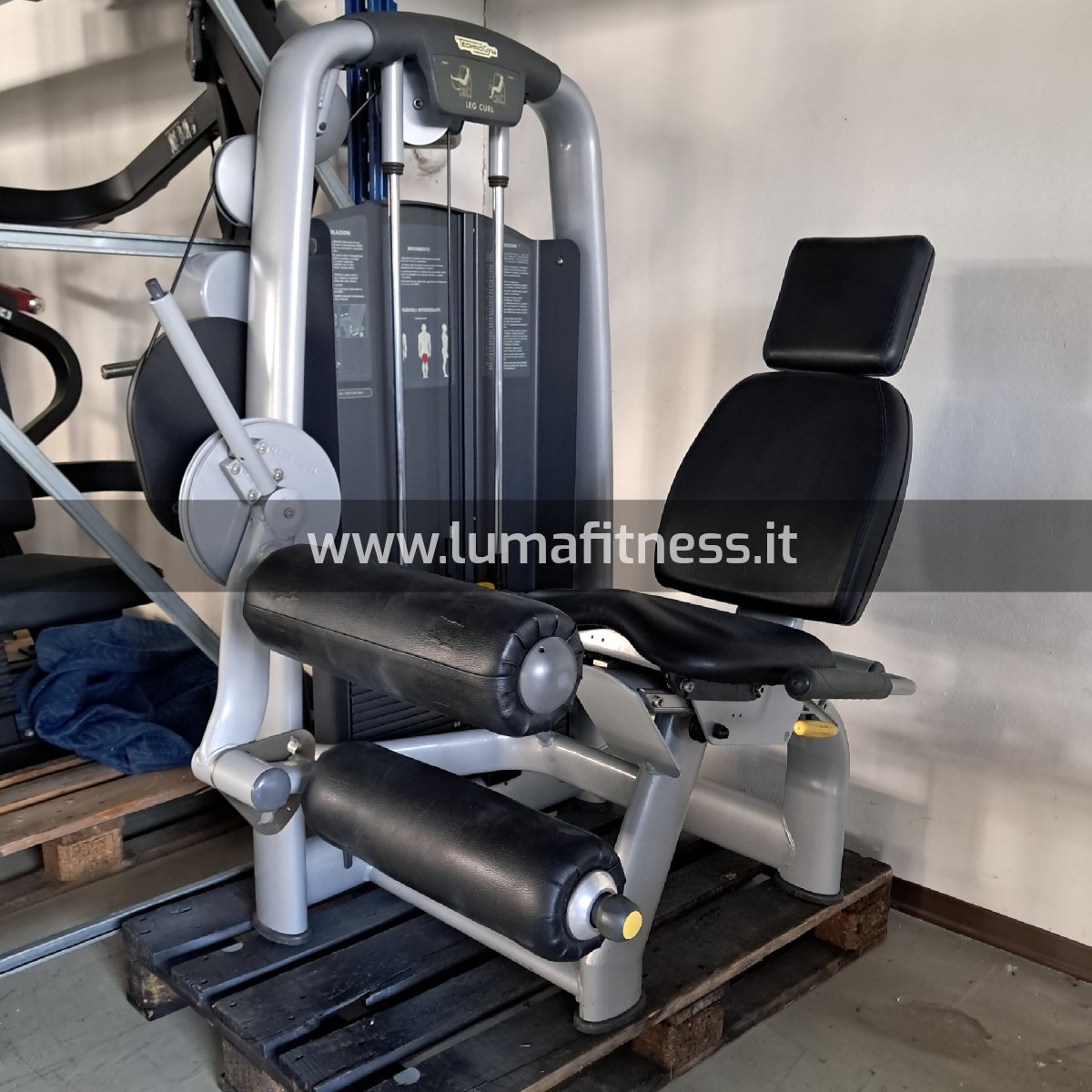 Leg Curl Technogym Selection Silver