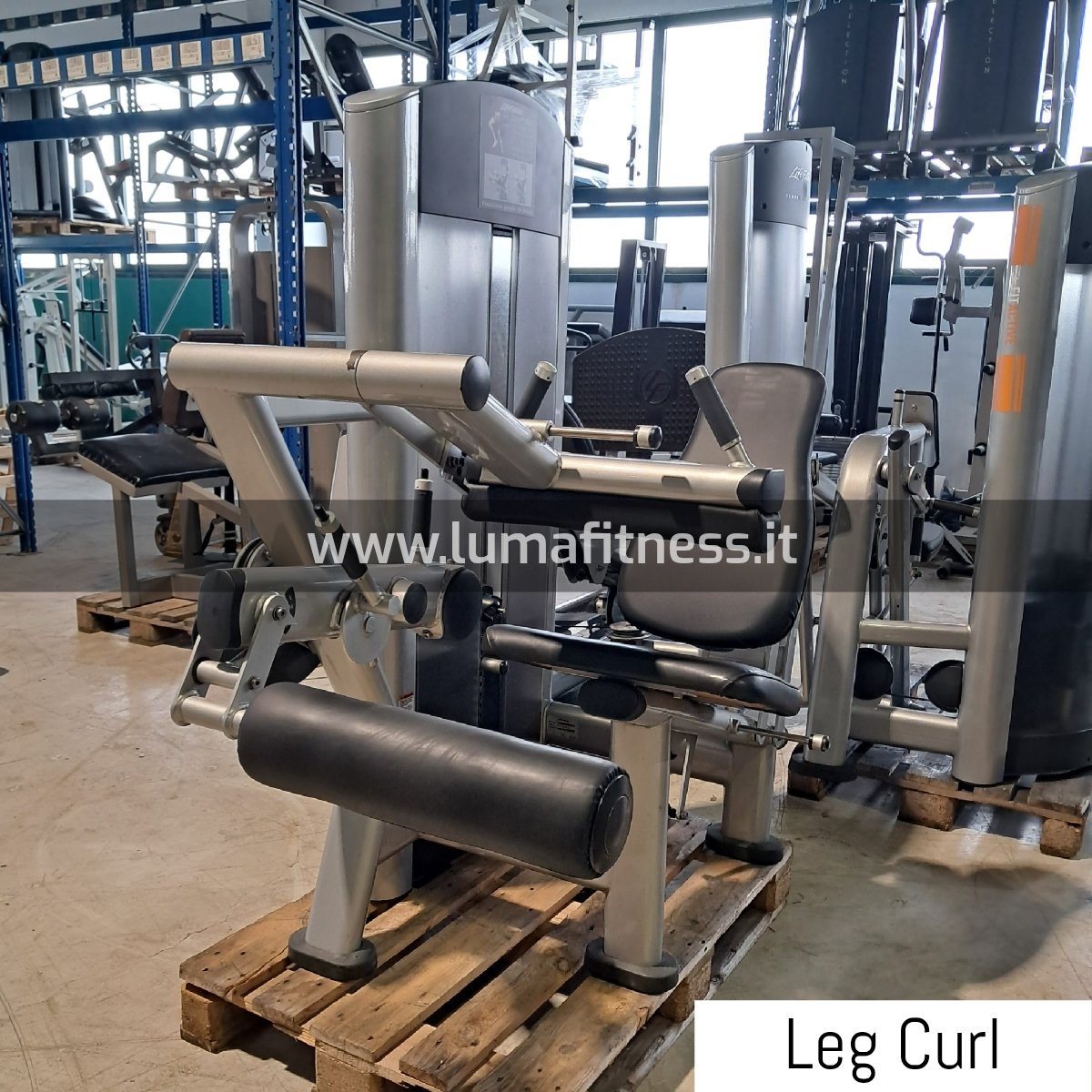 STOCK Attrezzi Palestra Life Fitness - immagine 37