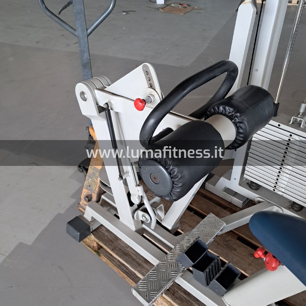 Calf Sitting Panatta Fit 2000 - immagine 2