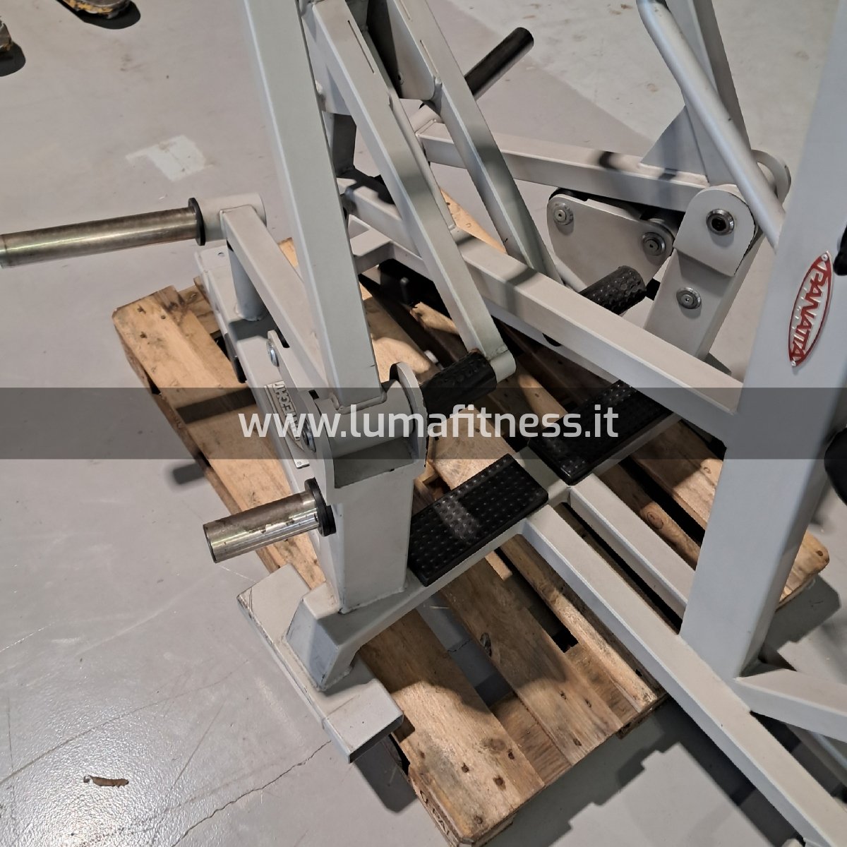Row Machine Panatta Freeweight - immagine 3