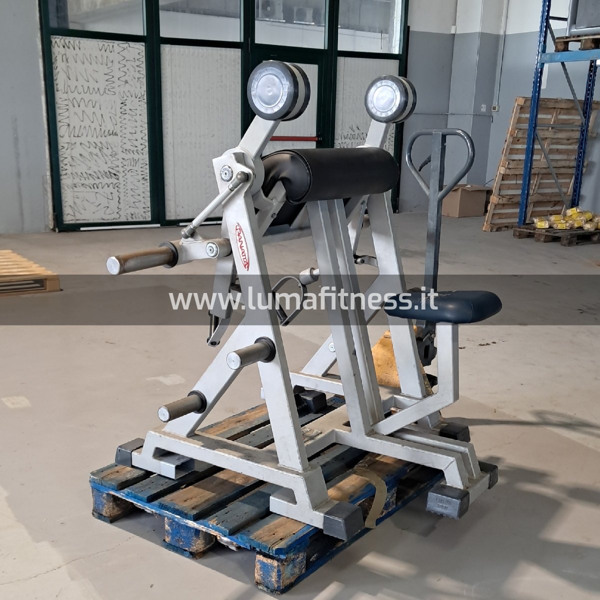 Arm Curl Biceps Freeweight Panatta - immagine 2