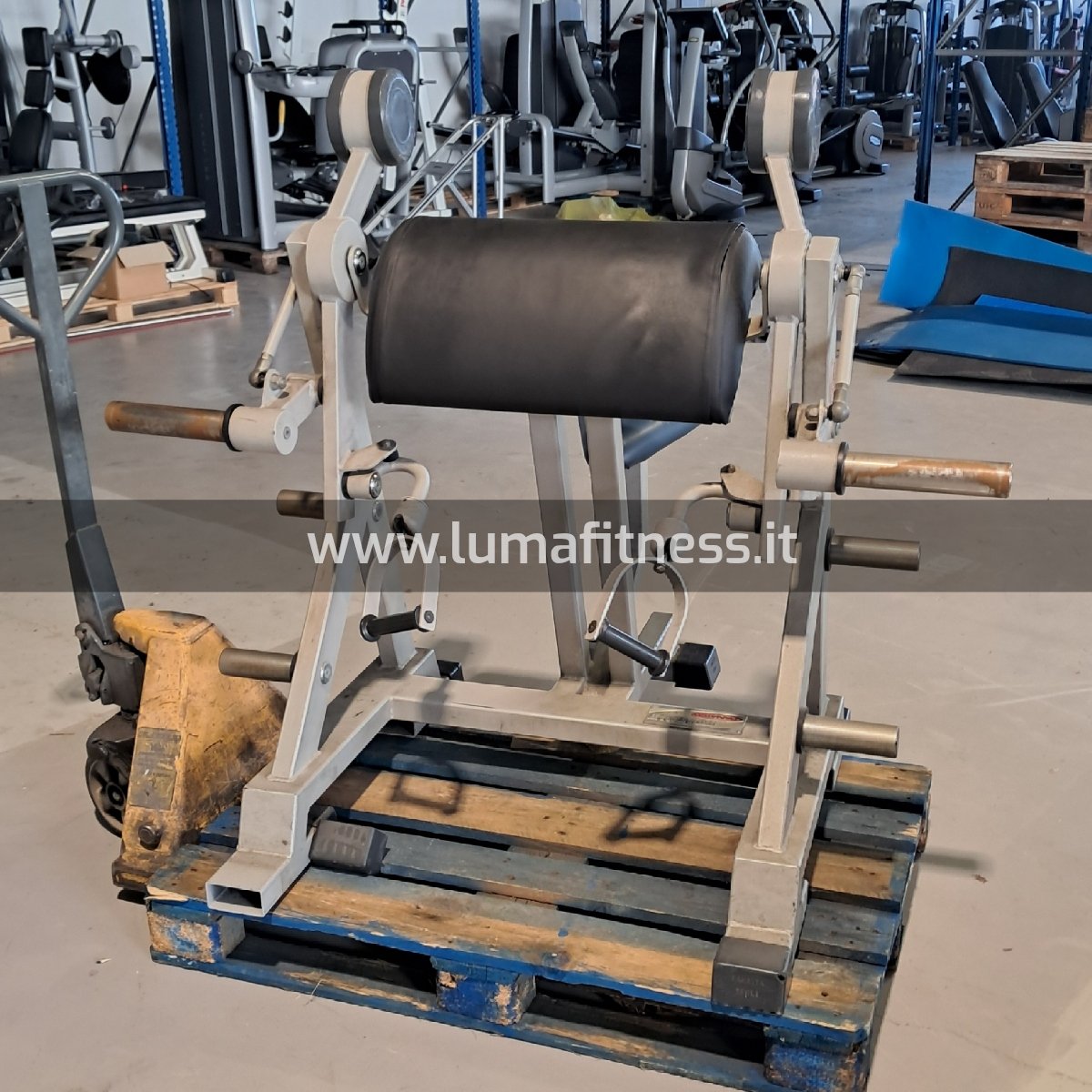 Arm Curl Biceps Freeweight Panatta - immagine 5