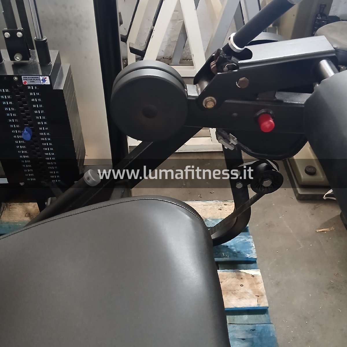 Leg Curl Nova Nautilus Usato - immagine 5