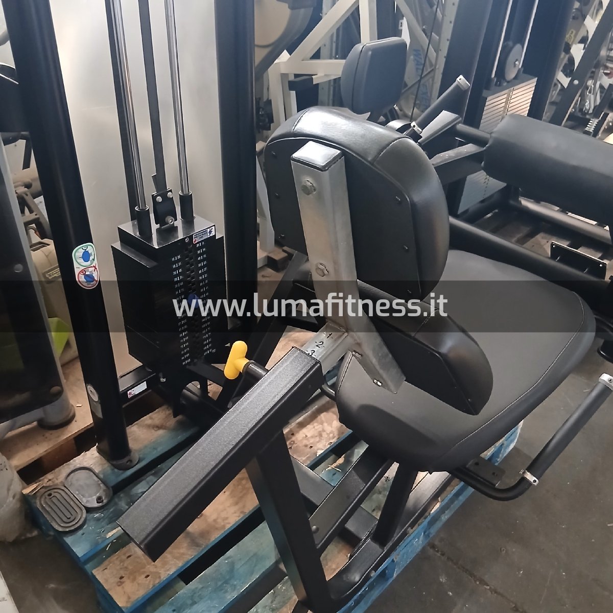Leg Curl Nova Nautilus Usato - immagine 2
