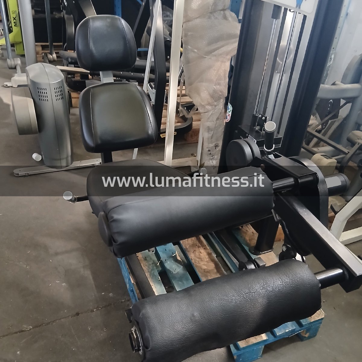 Leg Curl Nova Nautilus Usato - immagine 8
