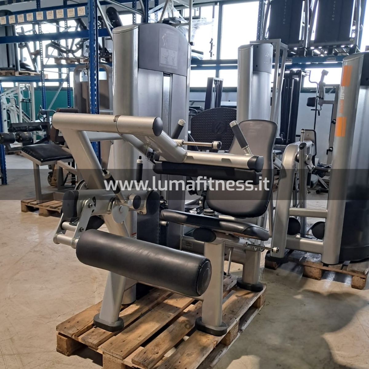 Life Fitness Usato Leg Curl - immagine 2