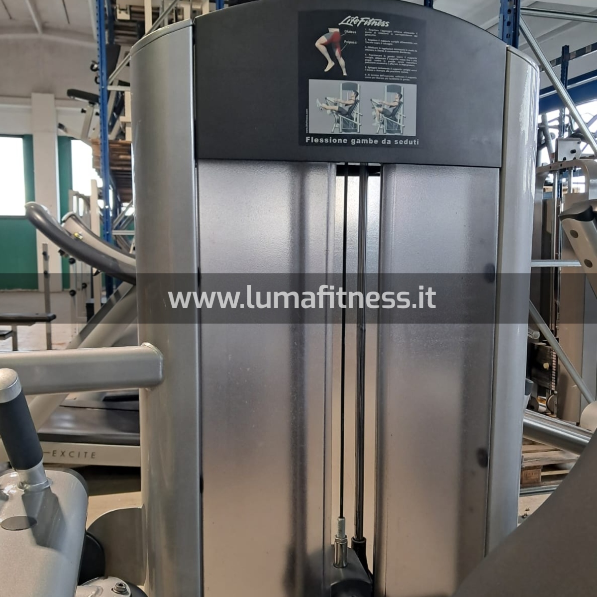 Life Fitness Usato Leg Curl - immagine 5