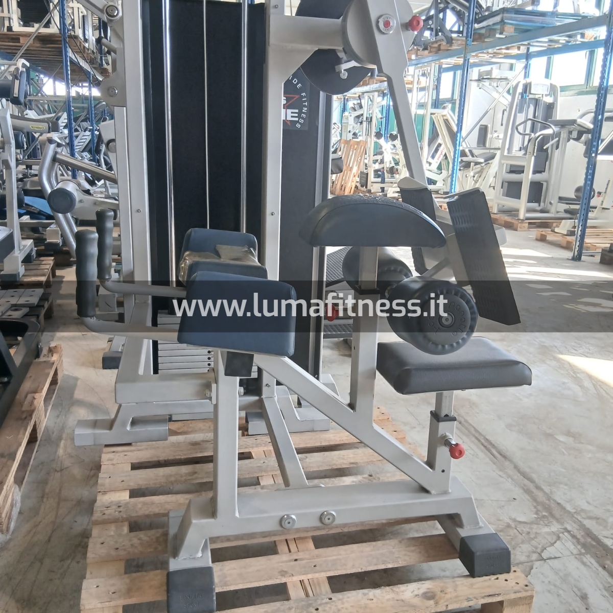 Master Gluteus Fit Machine Panatta - immagine 6