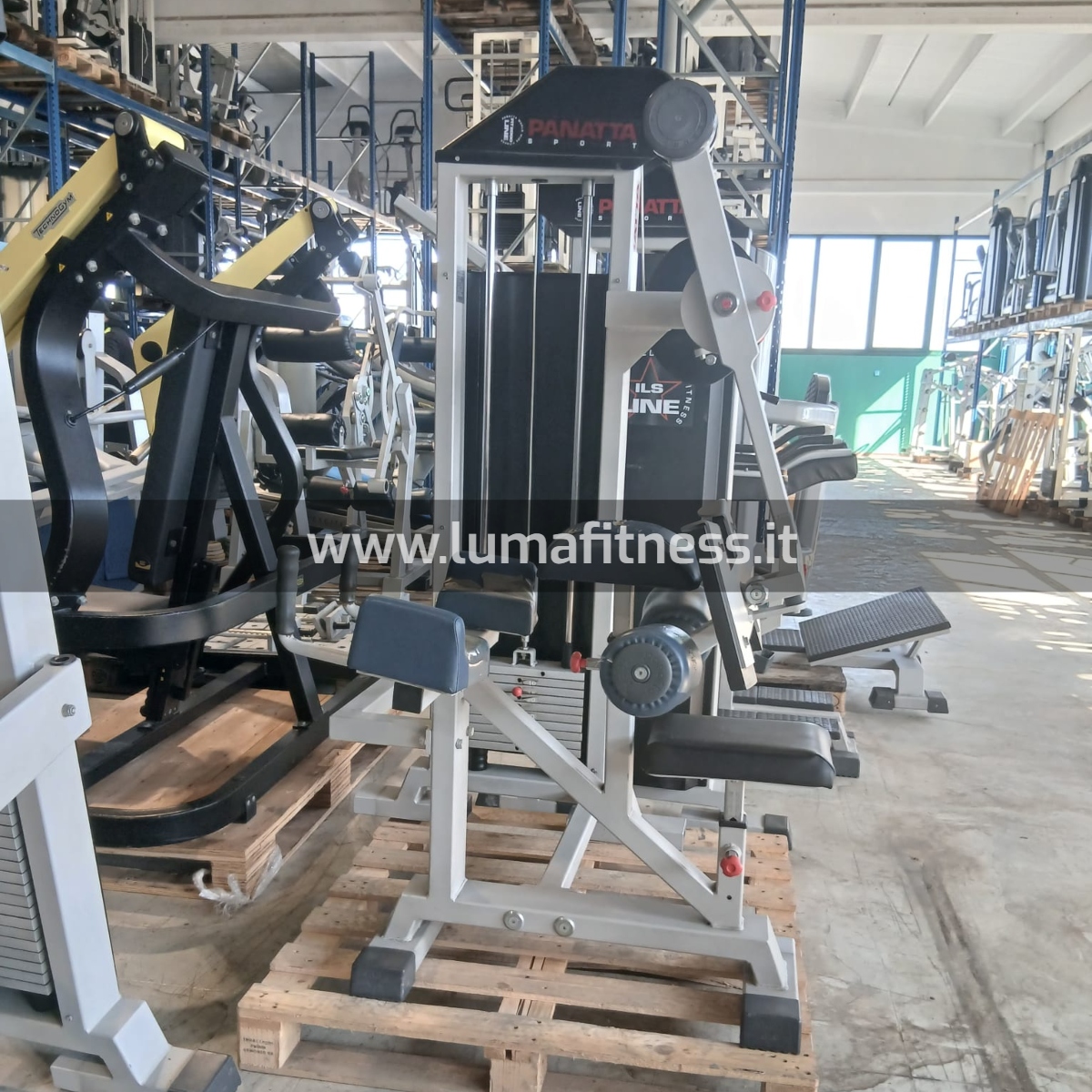 Master Gluteus Fit Machine Panatta