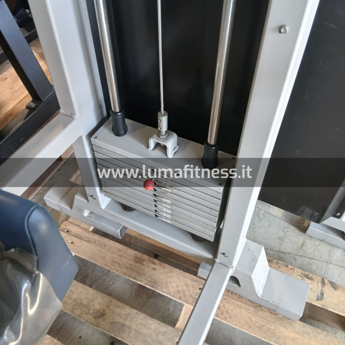 Master Gluteus Fit Machine Panatta - immagine 2