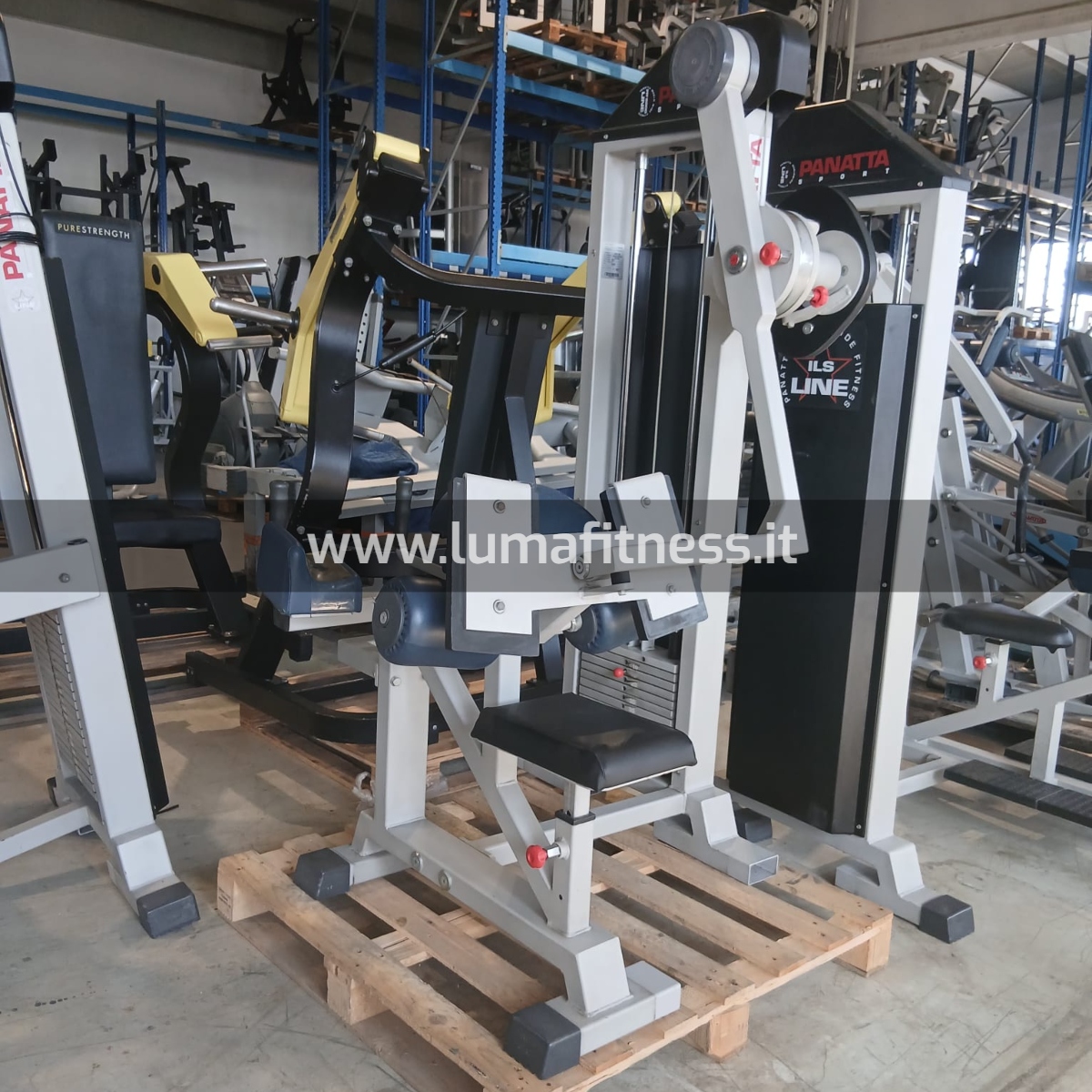 Master Gluteus Fit Machine Panatta - immagine 7