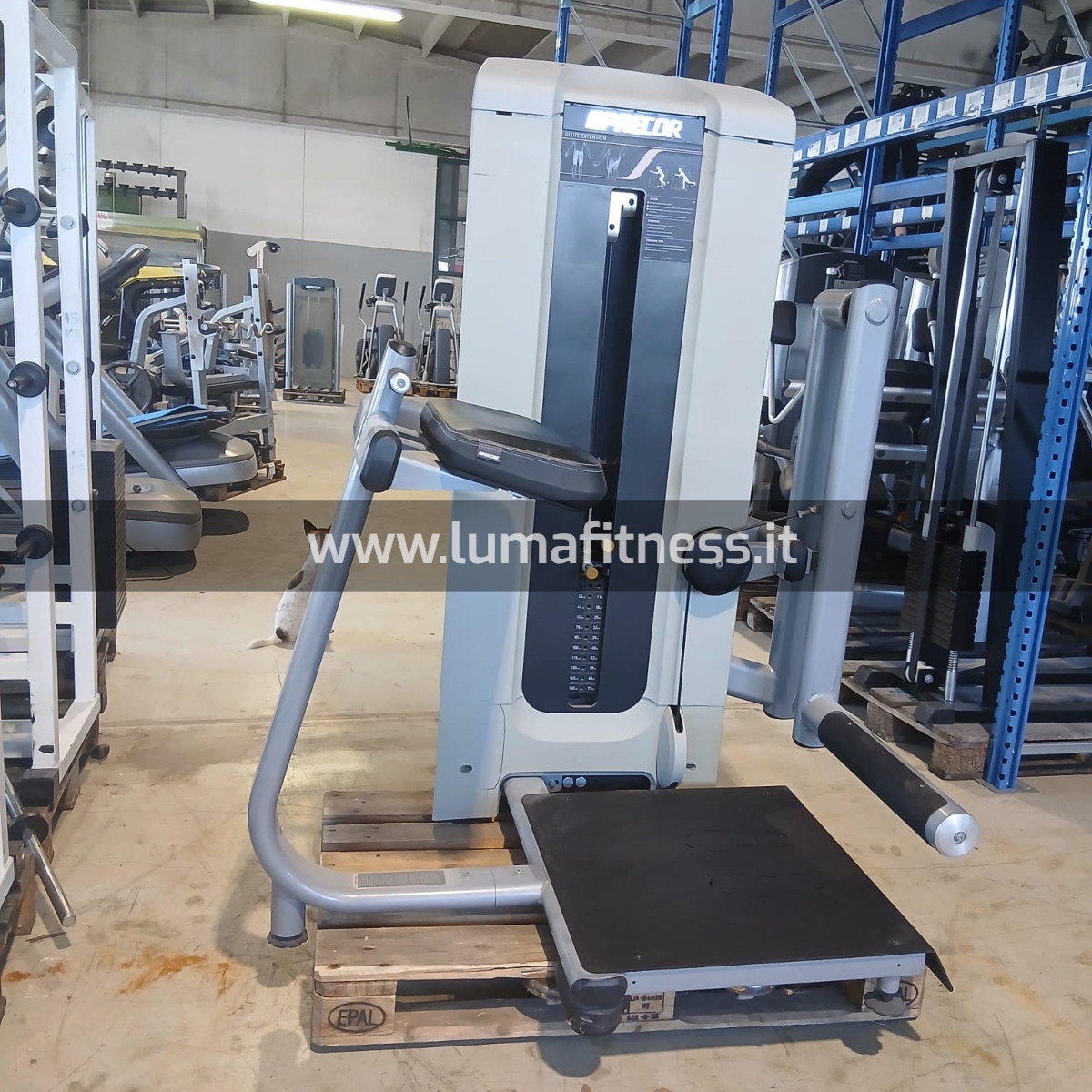 Gluteus Extension Precor Silver