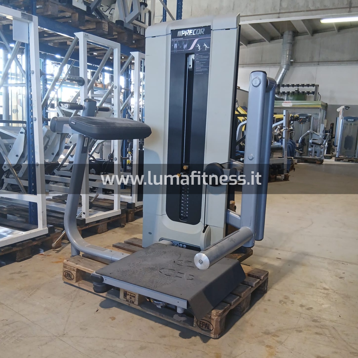 Gluteus Extension Precor Silver - immagine 9
