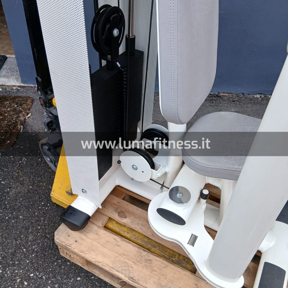 Gym80 Reverse Delt Machine - immagine 3