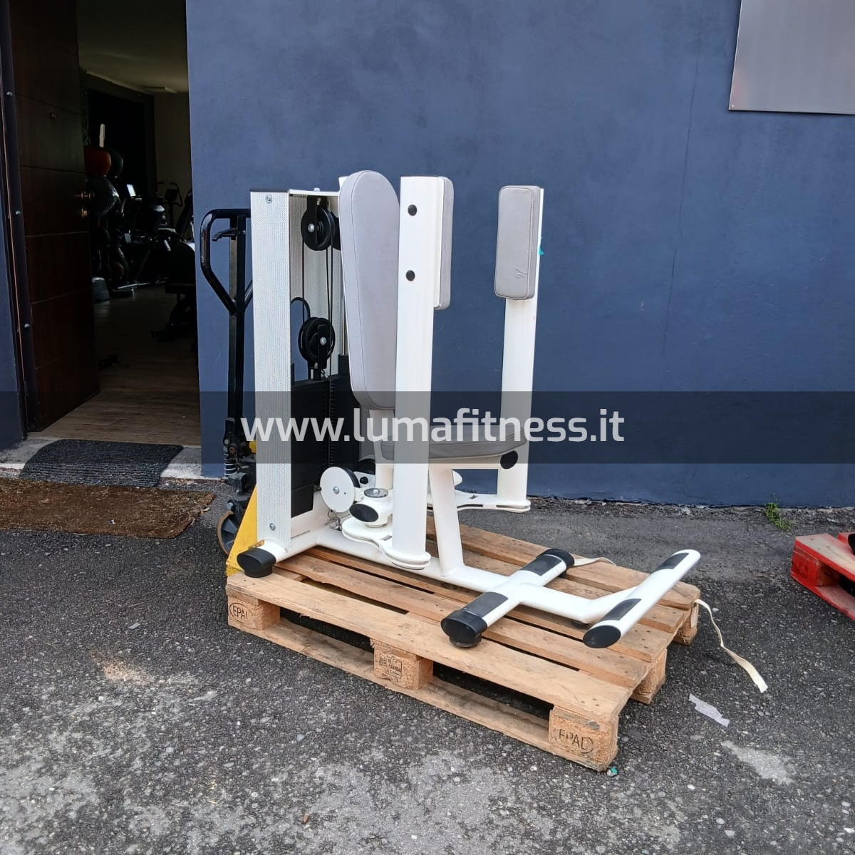 Gym80 Reverse Delt Machine - immagine 8
