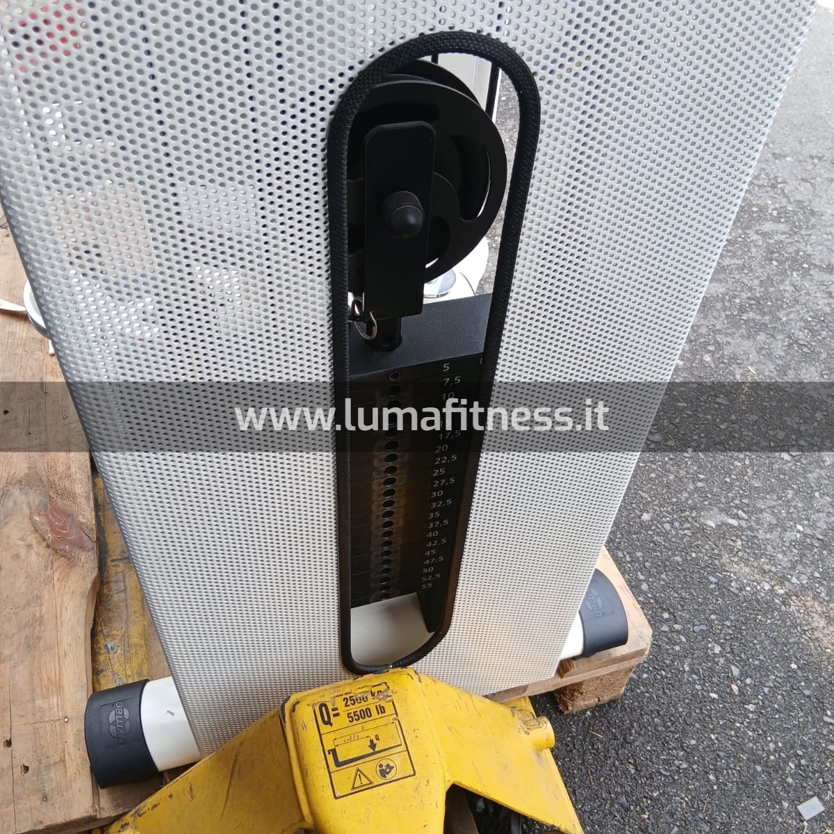 Gym80 Reverse Delt Machine - immagine 6