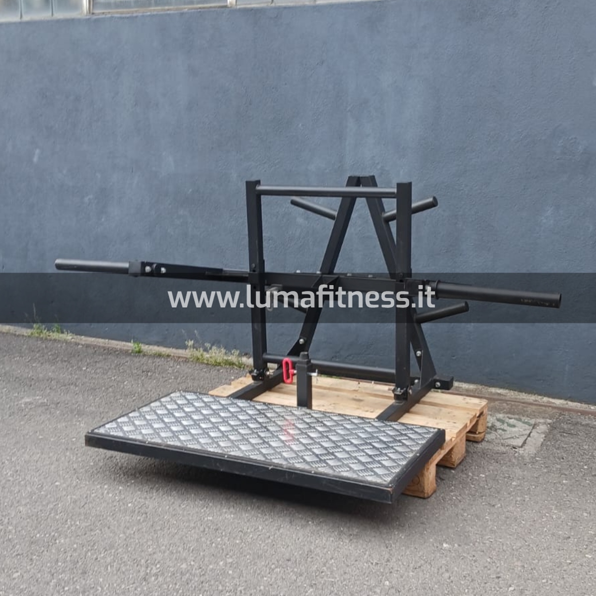 Belt Squat Usato Free Weight - immagine 5