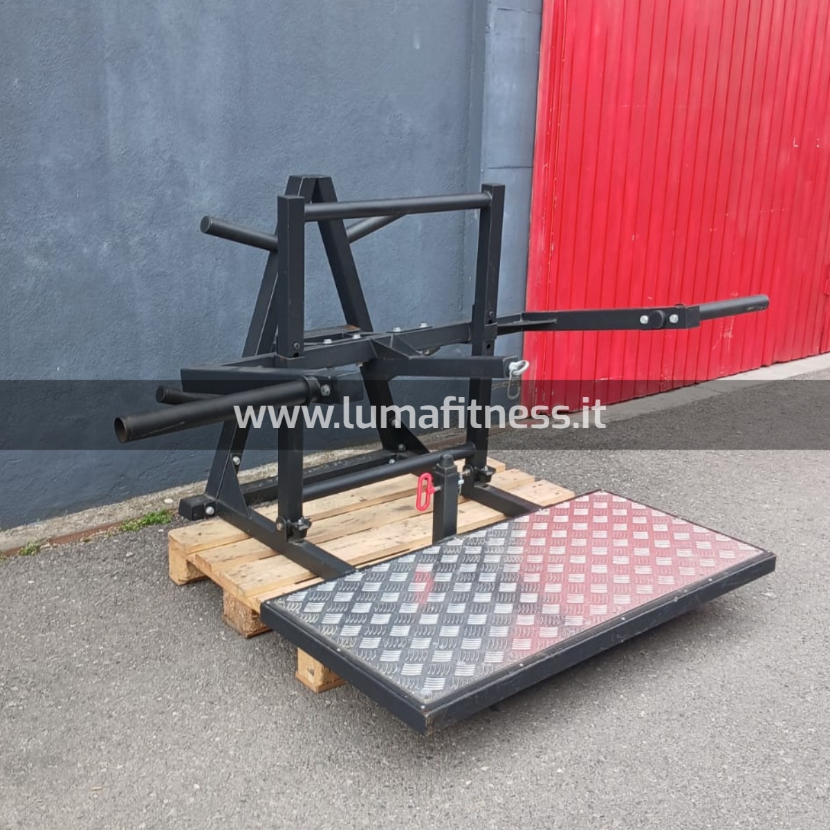 Belt Squat Usato Free Weight