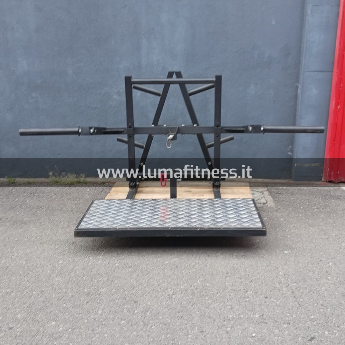 Belt Squat Usato Free Weight - immagine 6