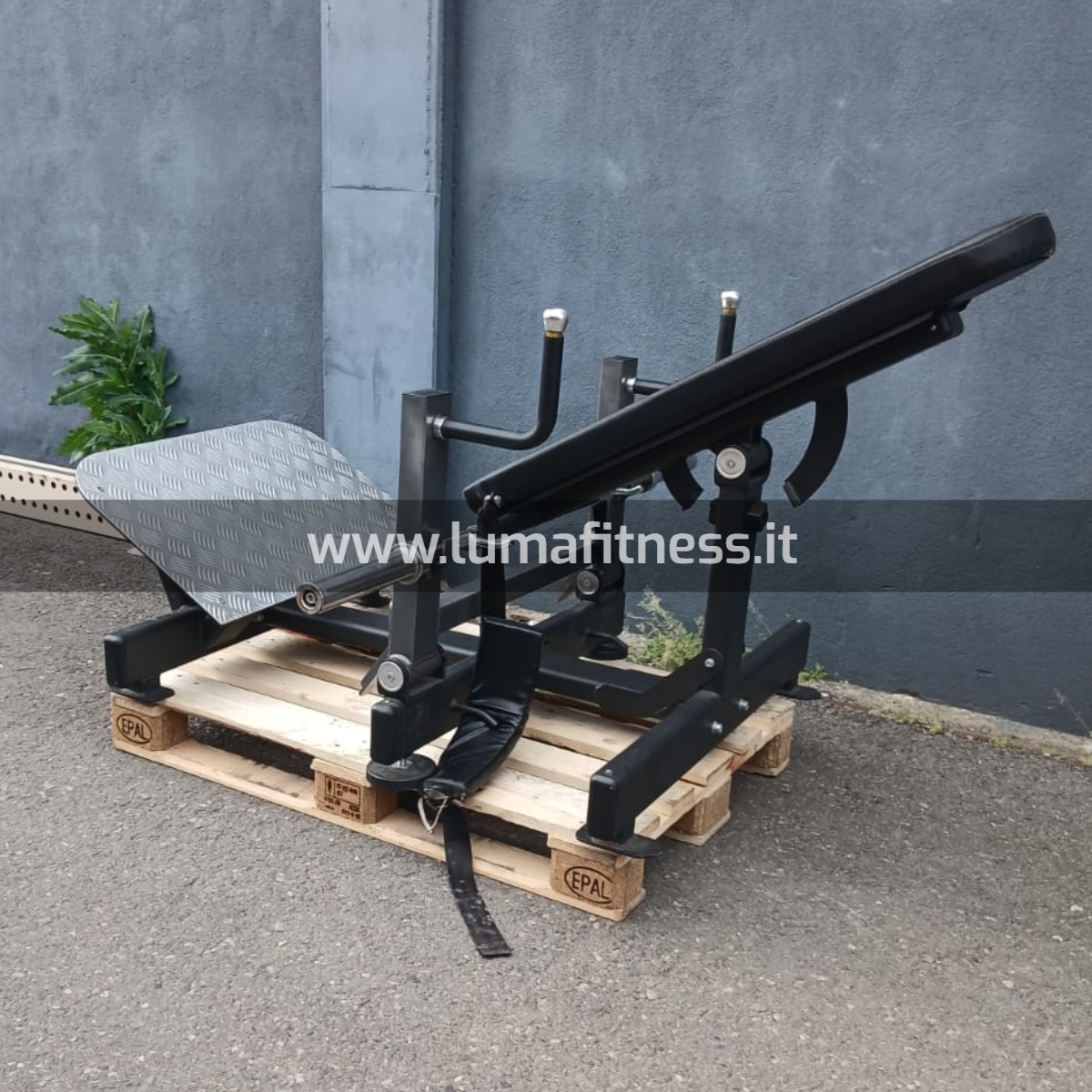 HIP THRUST Usato Fwx-4400 Toorx - immagine 3