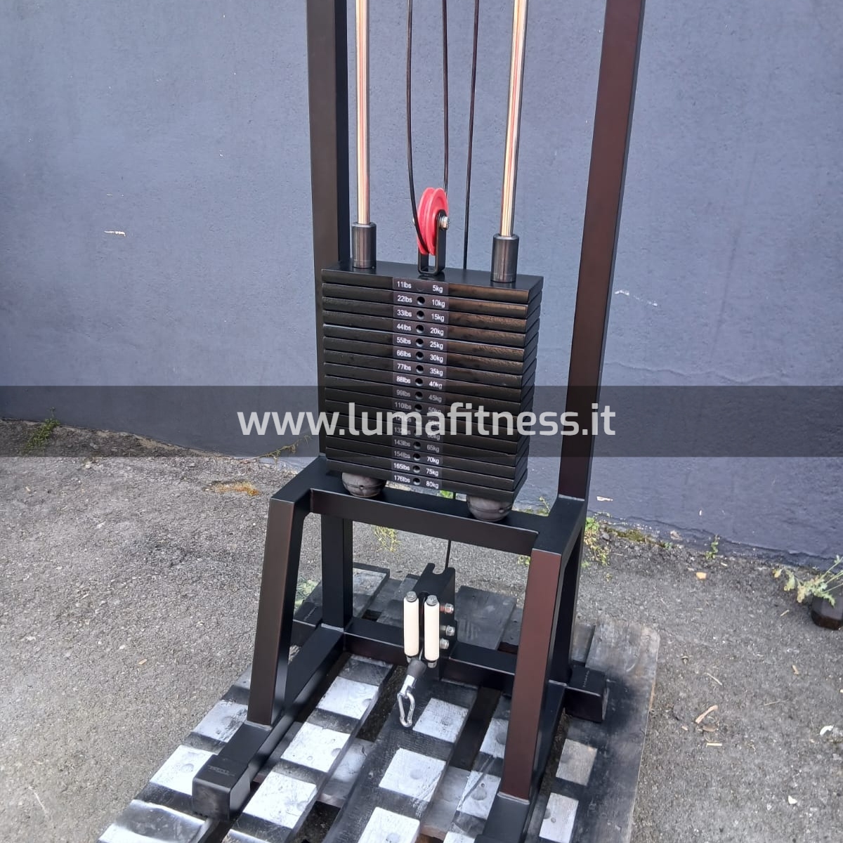 Ercolina Cavo Technogym Lux Nero 80 Kg - immagine 5