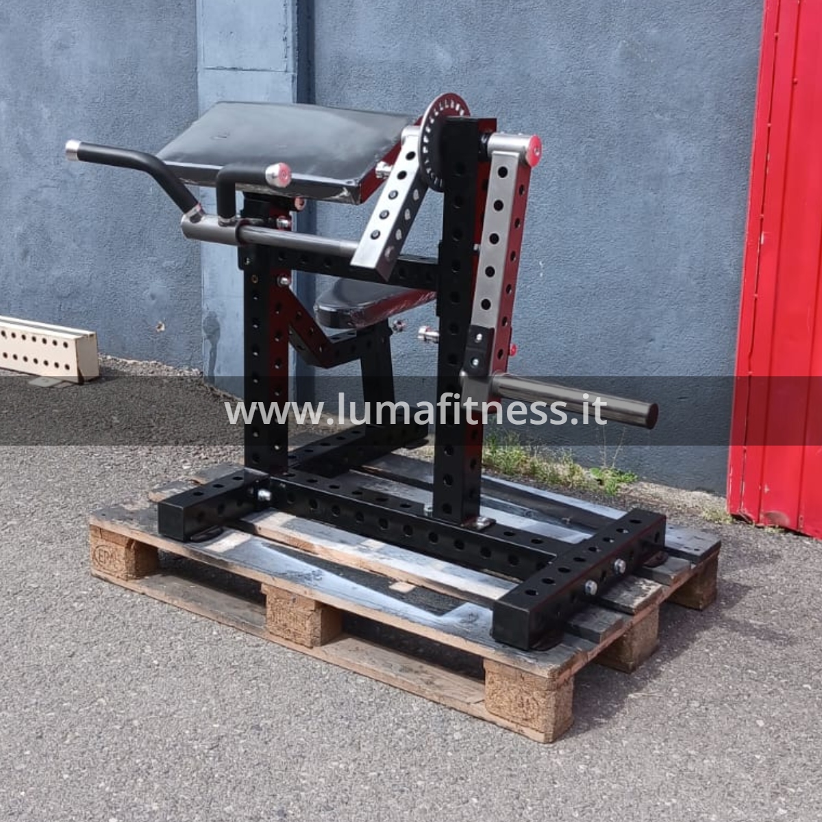 Combo Arm Curl / Triceps Press - immagine 3