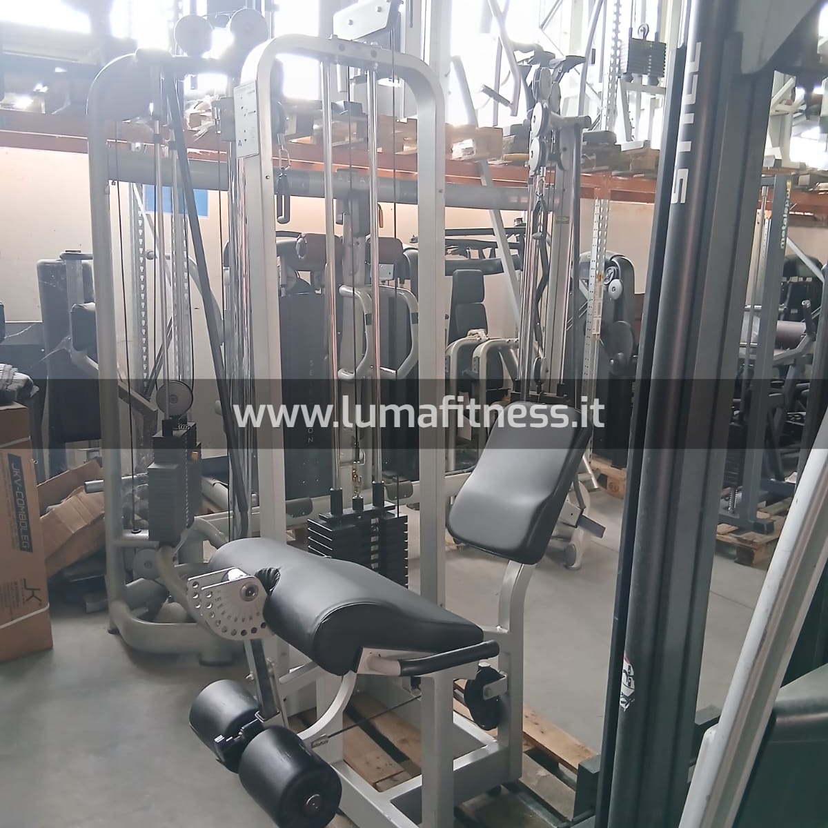 Leg Extension Usato Fassi - immagine 8