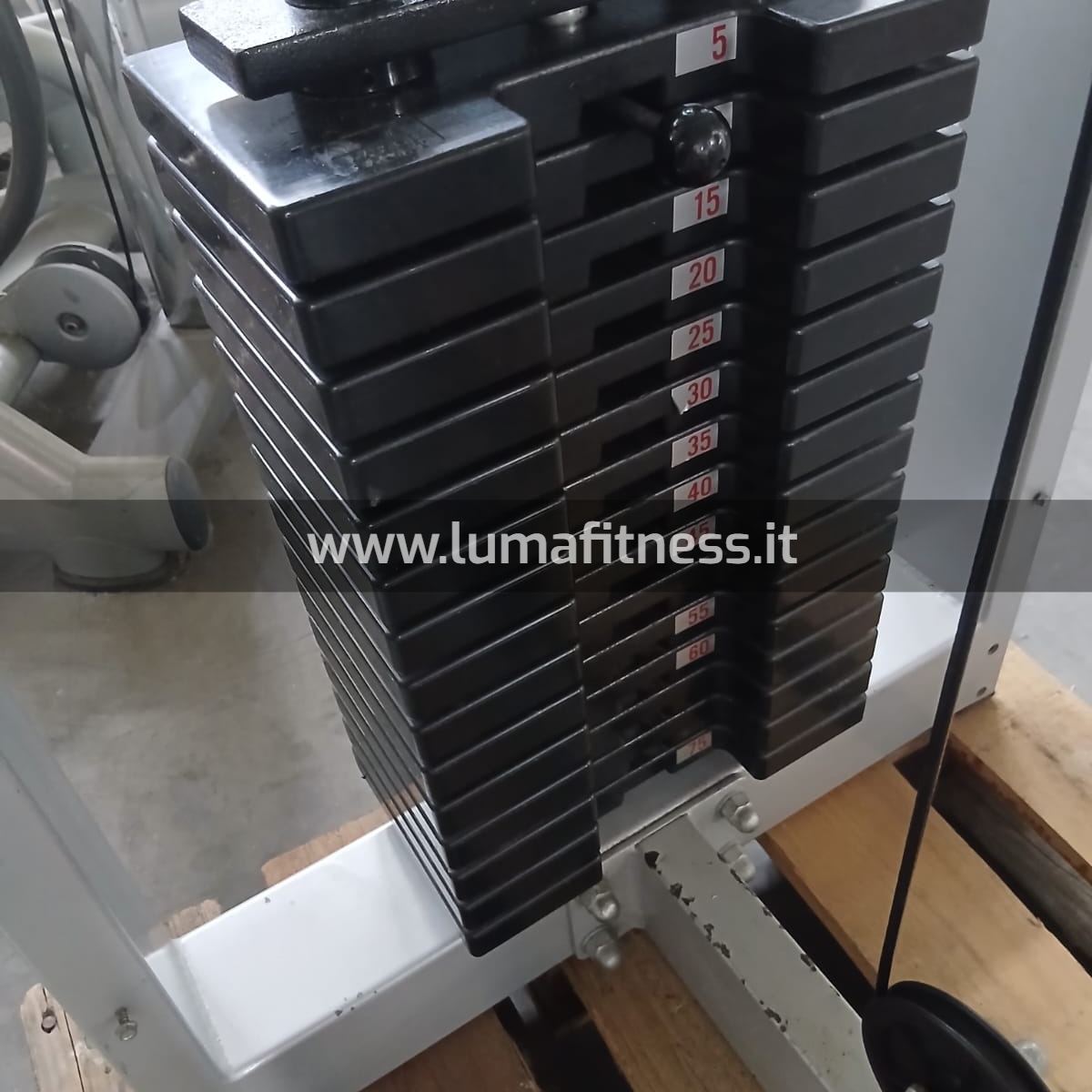 Leg Extension Usato Fassi - immagine 7