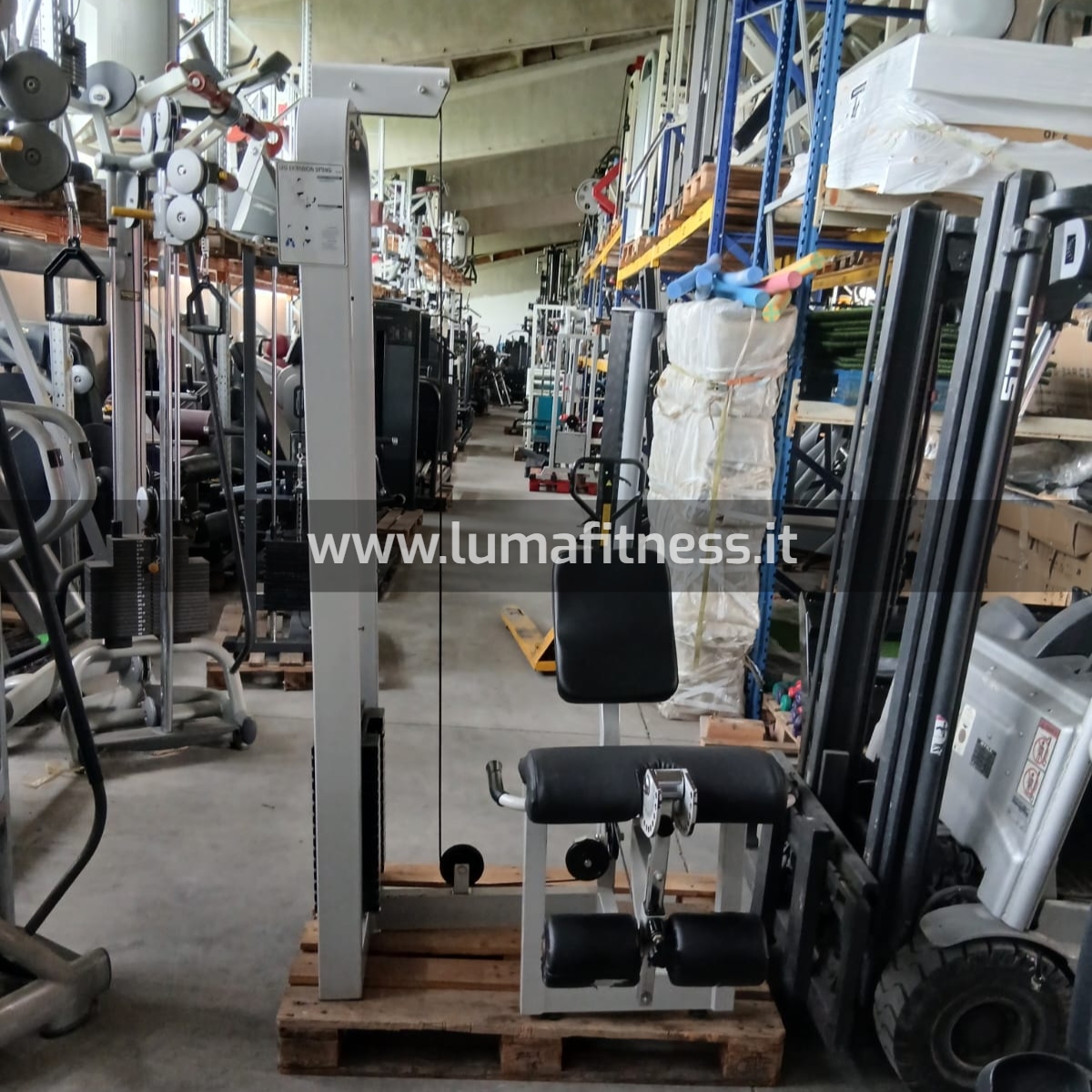 Leg Extension Usato Fassi - immagine 6
