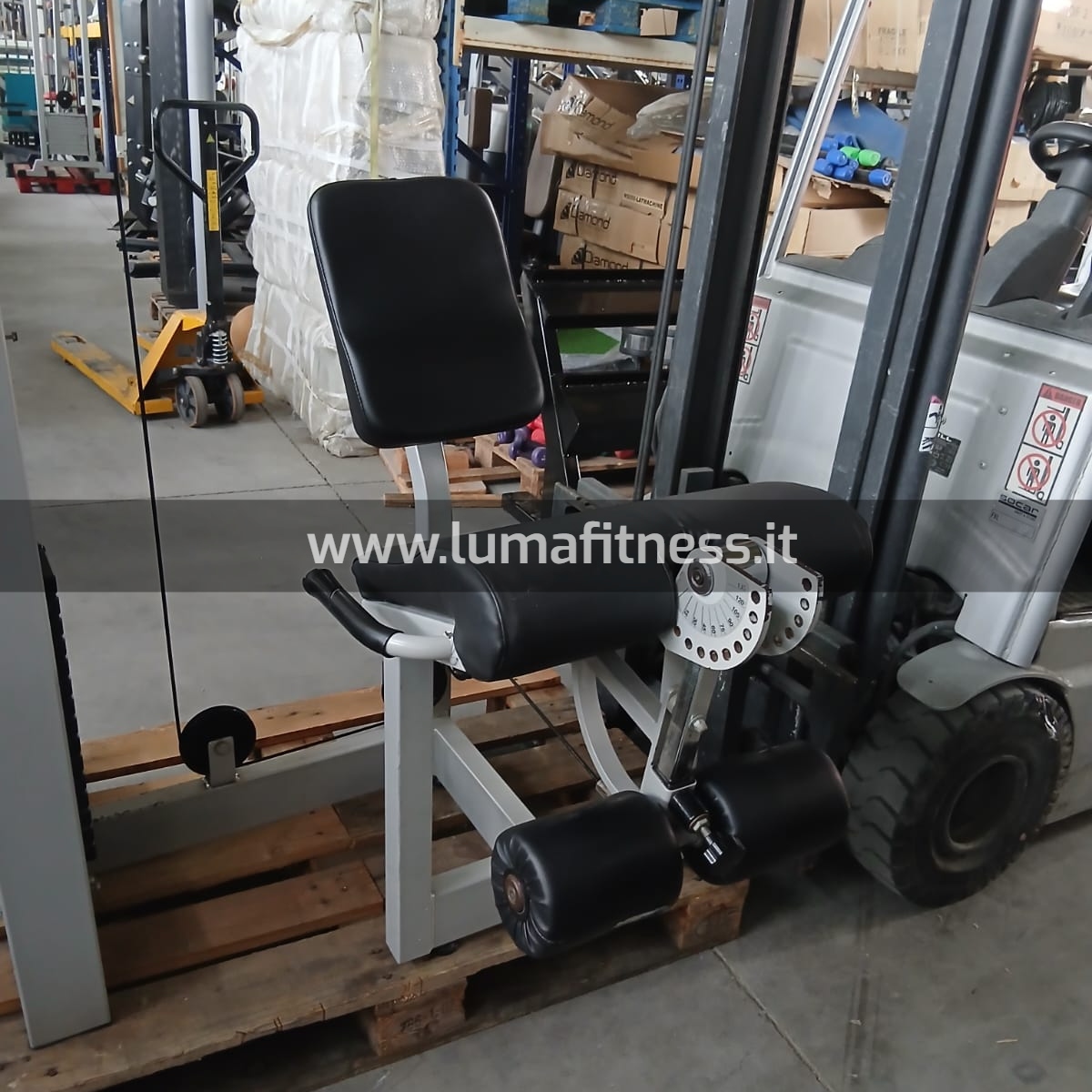 Leg Extension Usato Fassi - immagine 5